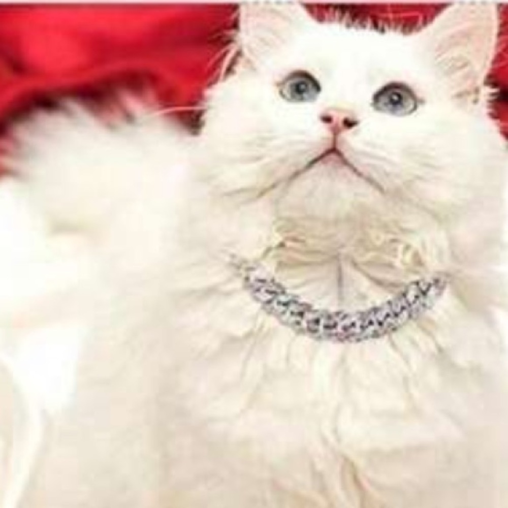 PET BLING🐝RHINESTONE🐝FASHION NECKLACE